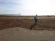 Giorgino - beach clean up